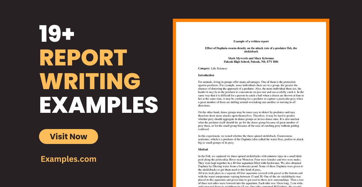 Topics For Reporting With Reference, PDF, Writers