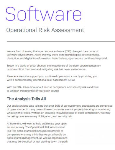 software operational risk assessment
