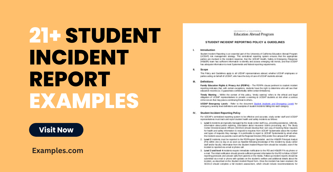 Student Incident Report Examples