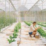 7+ Farm Land Lease Agreement Examples in PDF