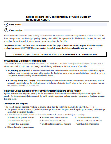 Child Custody Evaluation Report