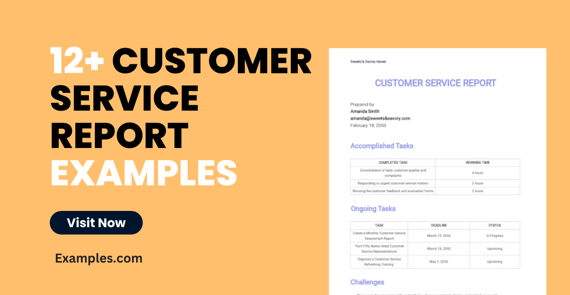 customer service report examples