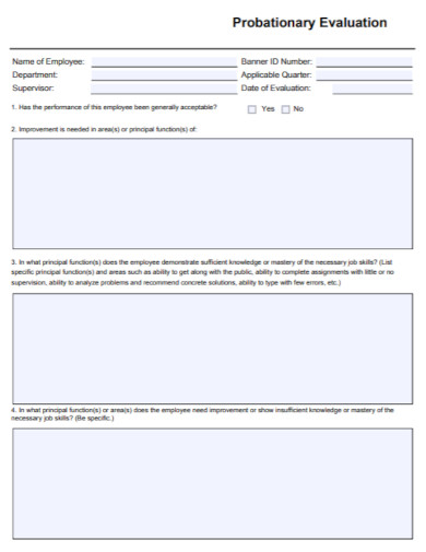 Probationary Evaluation - 10+ Examples, Format, Pdf | Examples