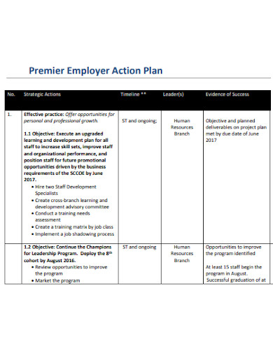 employer action plan example
