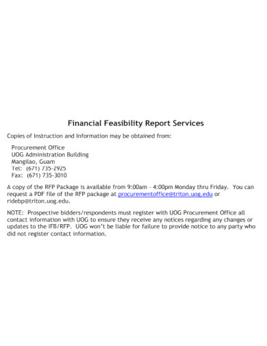 financial feasibility report services