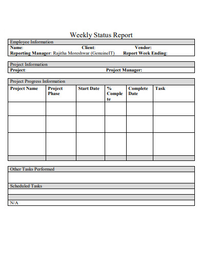 it employee weekly status report