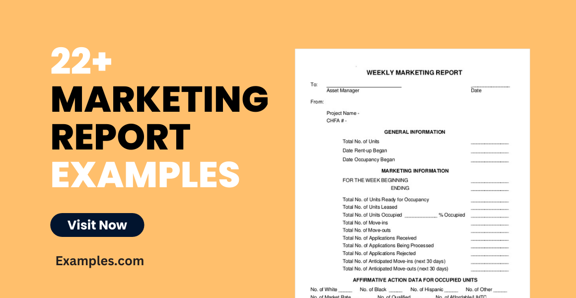 Marketing Report Examples