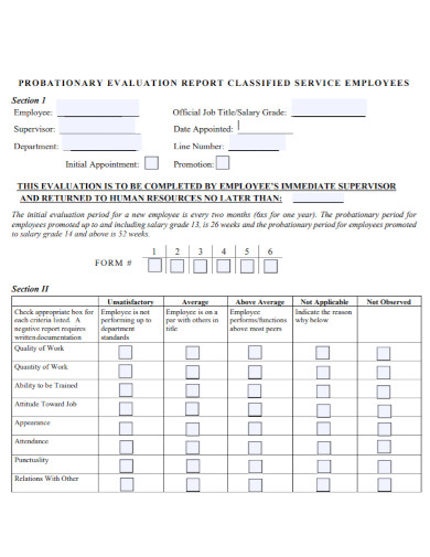 probationary evaluation report