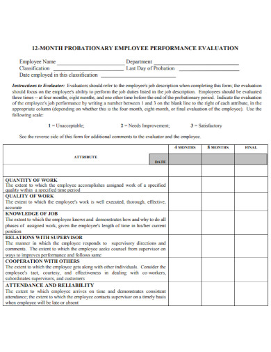 Probationary Evaluation 10 Examples Format Pdf Examples 