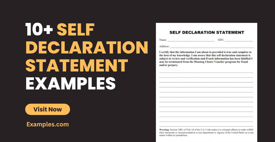 Self Declaration Statement Examples