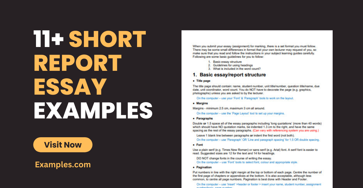 Short Report Essay Examples