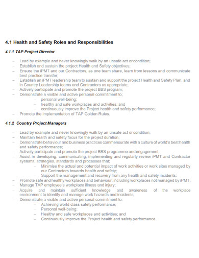 standard project health and safety plan