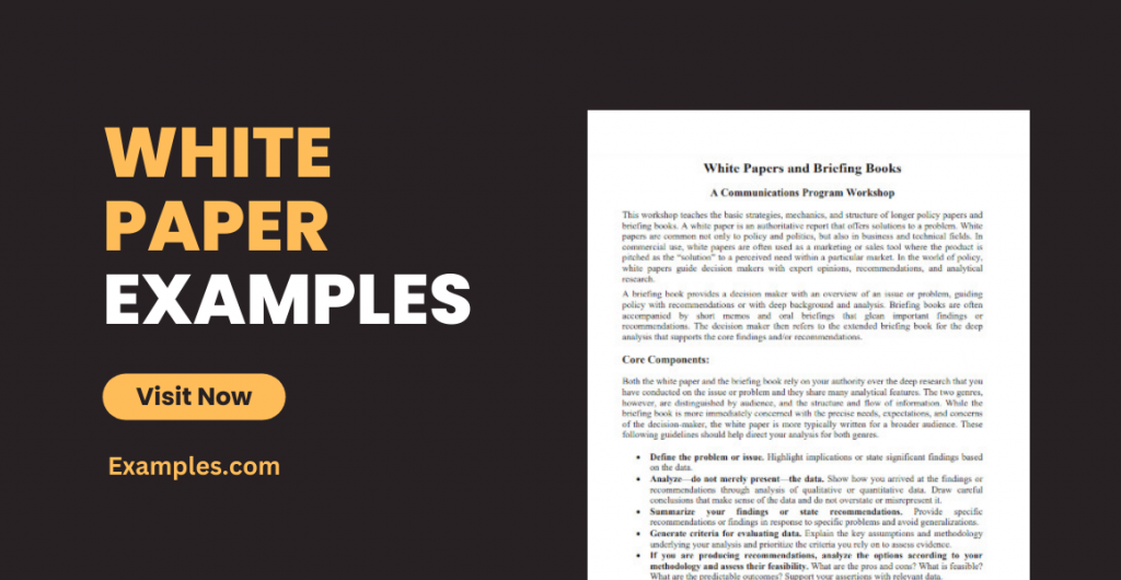 White Paper Examples