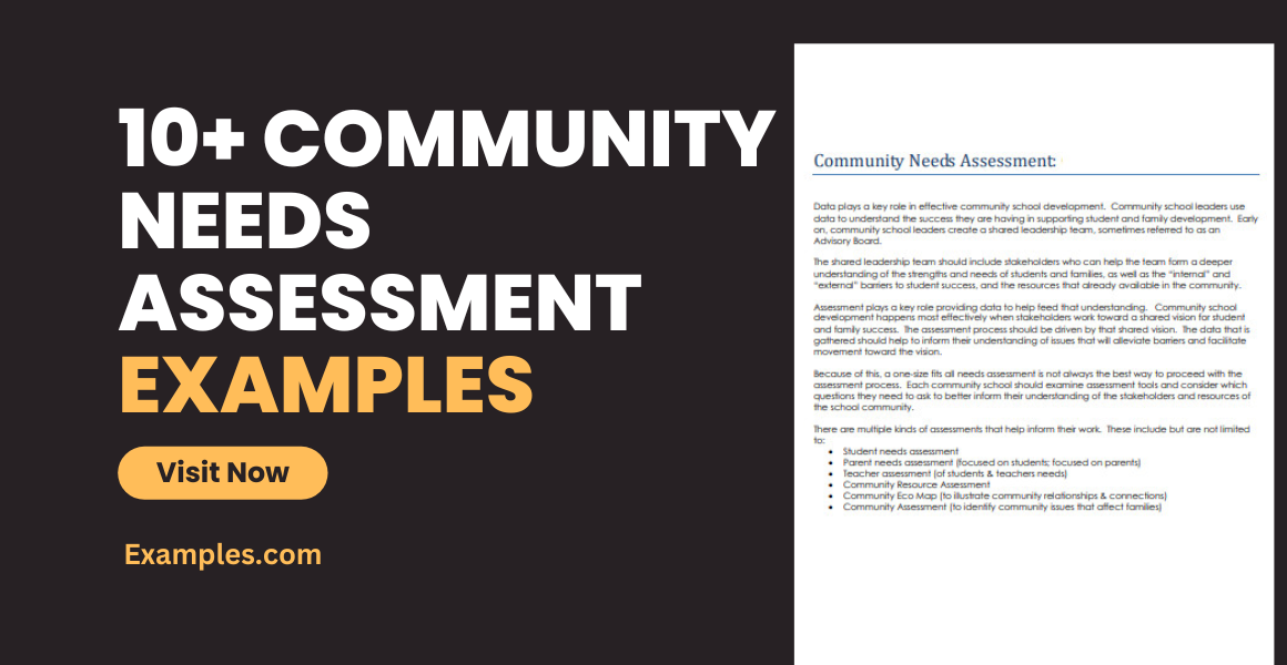 Online Community Needs Assessment Survey Template