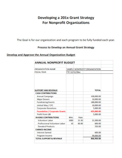 organization nonprofit program budget 