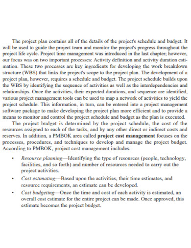 standard project plan budget