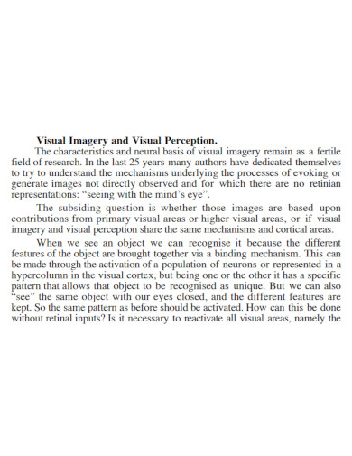 visual imagery and visual perception