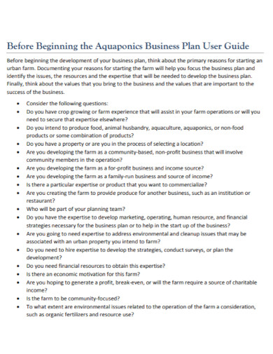 business plan in pdf
