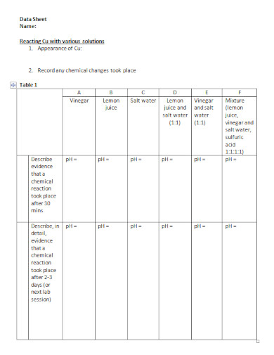 chemical changes data sheet