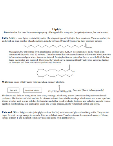 classifications of lipids