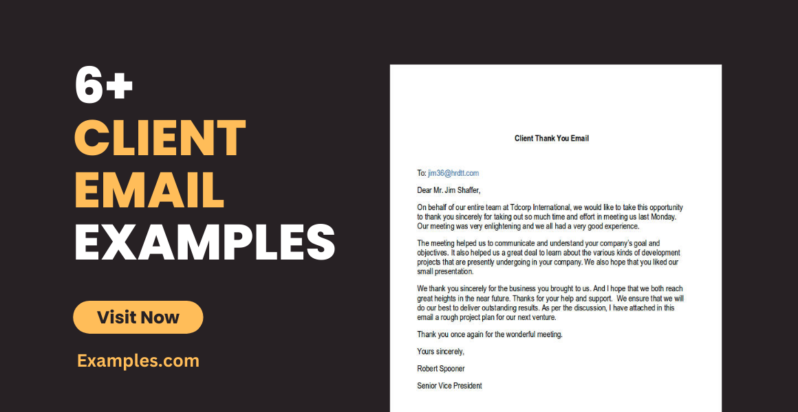Client Email Examples