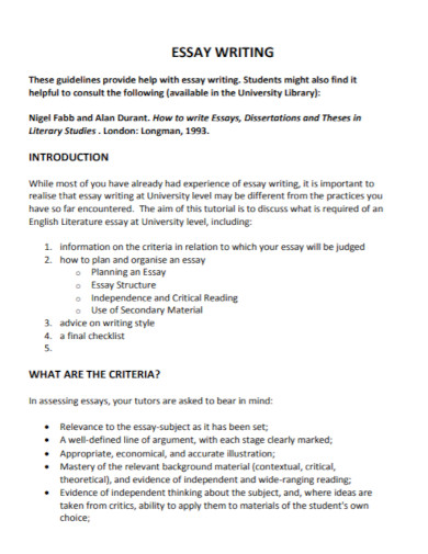 essay writing criteria 