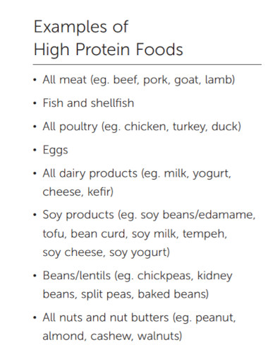 examples of high protein foods