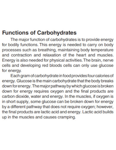functions of carbohydrates