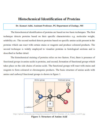 histochemical identification of proteins
