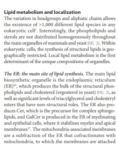 lipids metabolism and localization