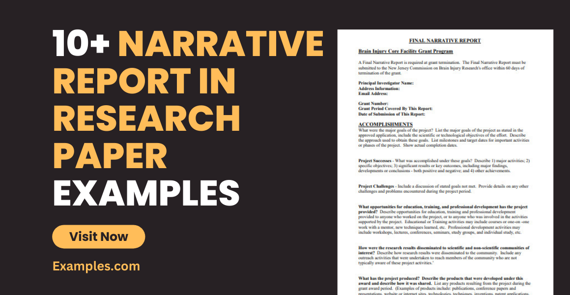 Narrative Report in Research Paper Examples
