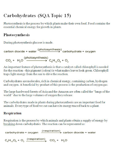 photosynthesis carbohydrates