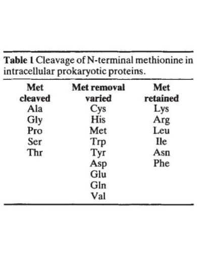 prokaryotic proteins