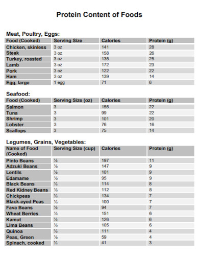 protein content of foods