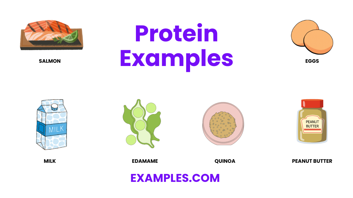 protein examples