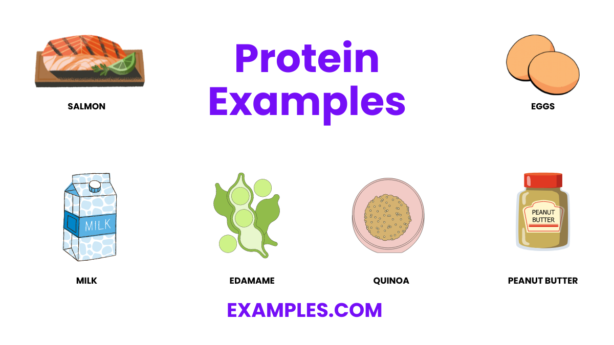 Proteins - 20+ Examples