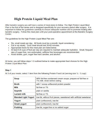 protein liquid meal plan