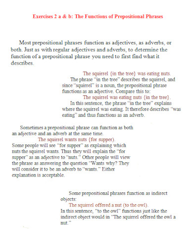 the functions of prepositional phrases 