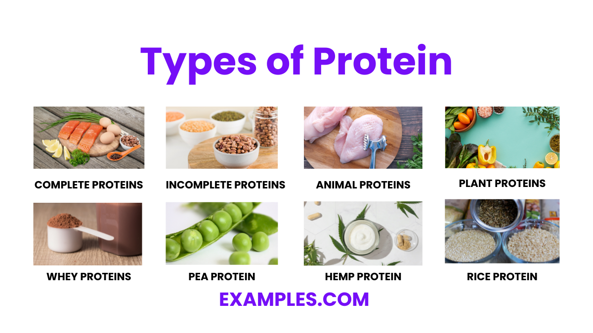 what are the types of protein