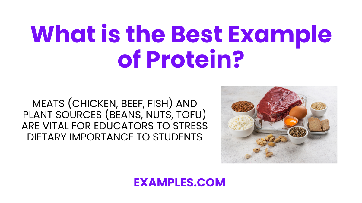 what is the best example of protein