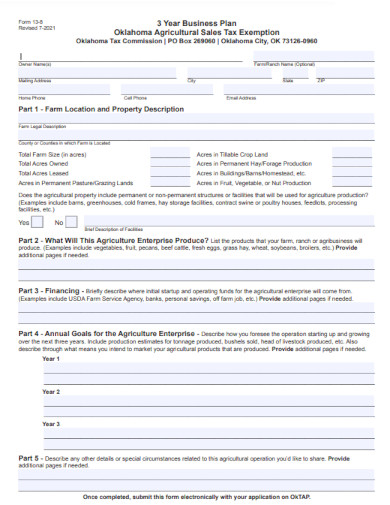 3 year business plan form