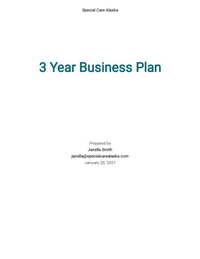 3 year business plan template
