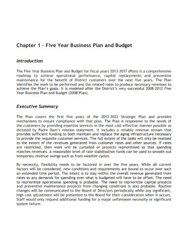 5 year business plan and budget