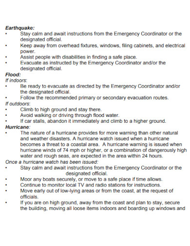 basic earthquake action plan
