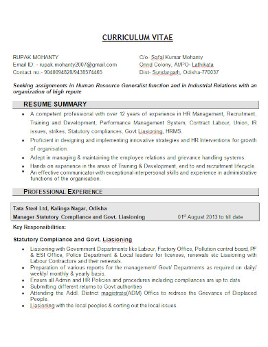 basic resume summary formats