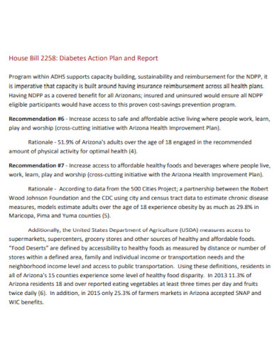 diabetes action plan and report