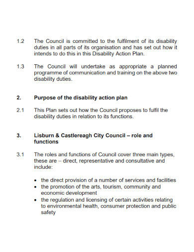 disability action plan in pdf