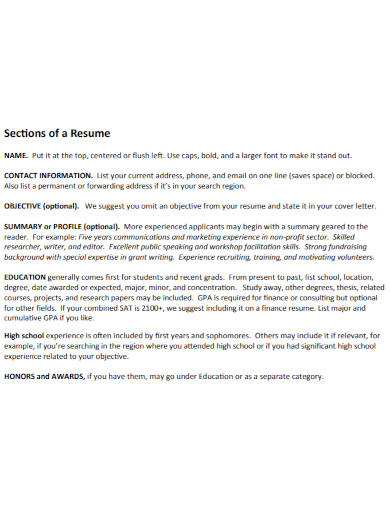 draft resume summary example