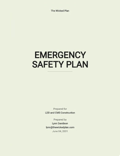 emergency safety plan template