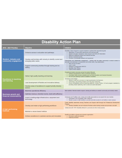 example of disability action plan
